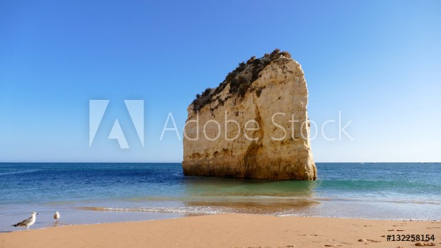 Picture of Portugal Algarve beach sandstone coast